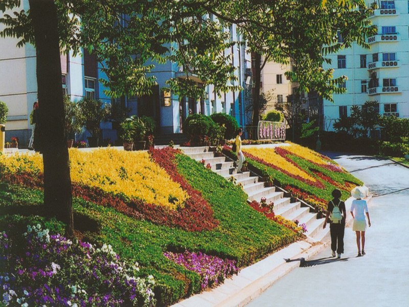 大连外国语大学中山校区-4